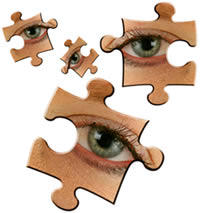 insights